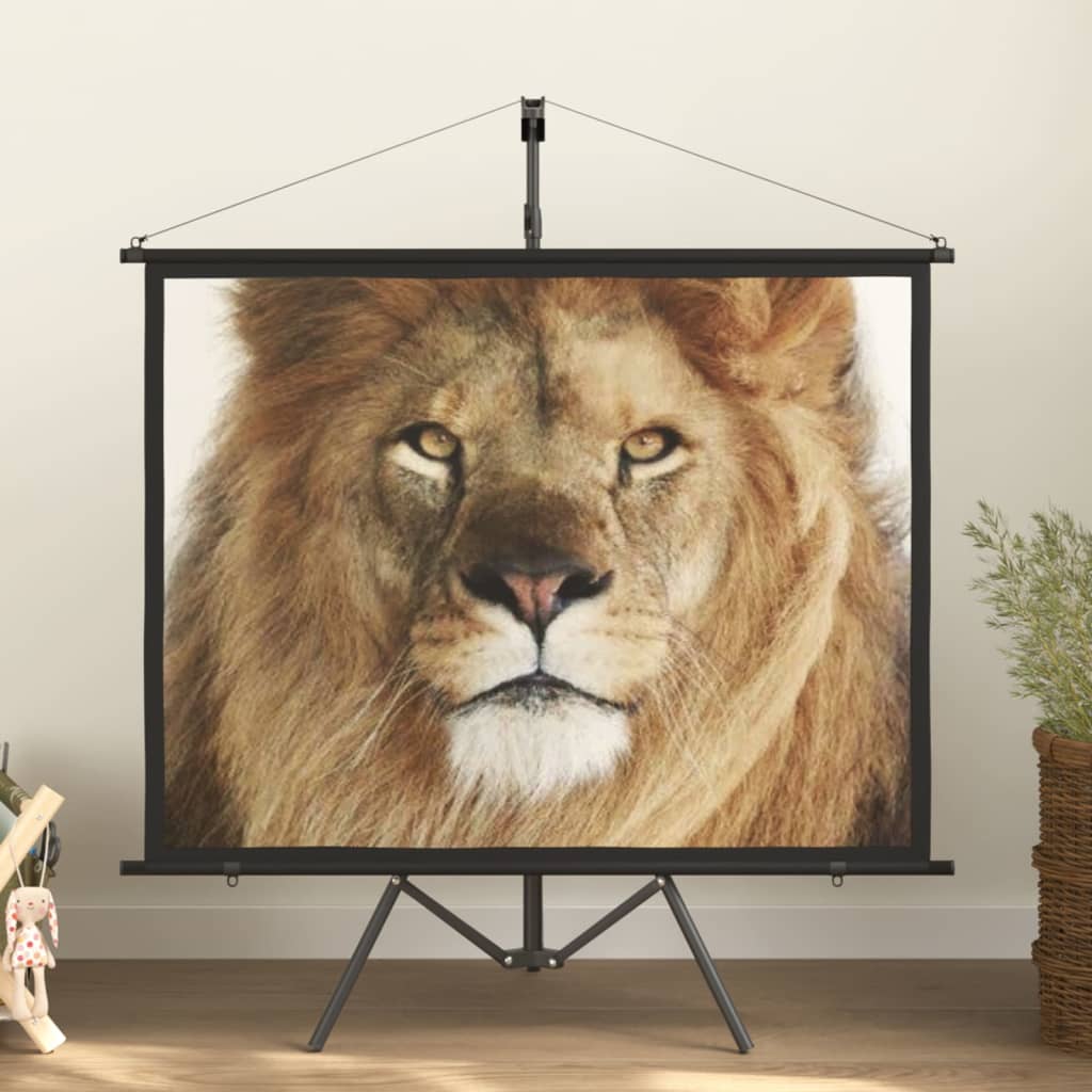 vidaXL projection screen Home Theater Screen Pull-down Projector Screen 4:3-7