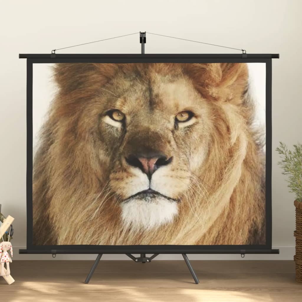 vidaXL projection screen Home Theater Screen Pull-down Projector Screen 4:3-10