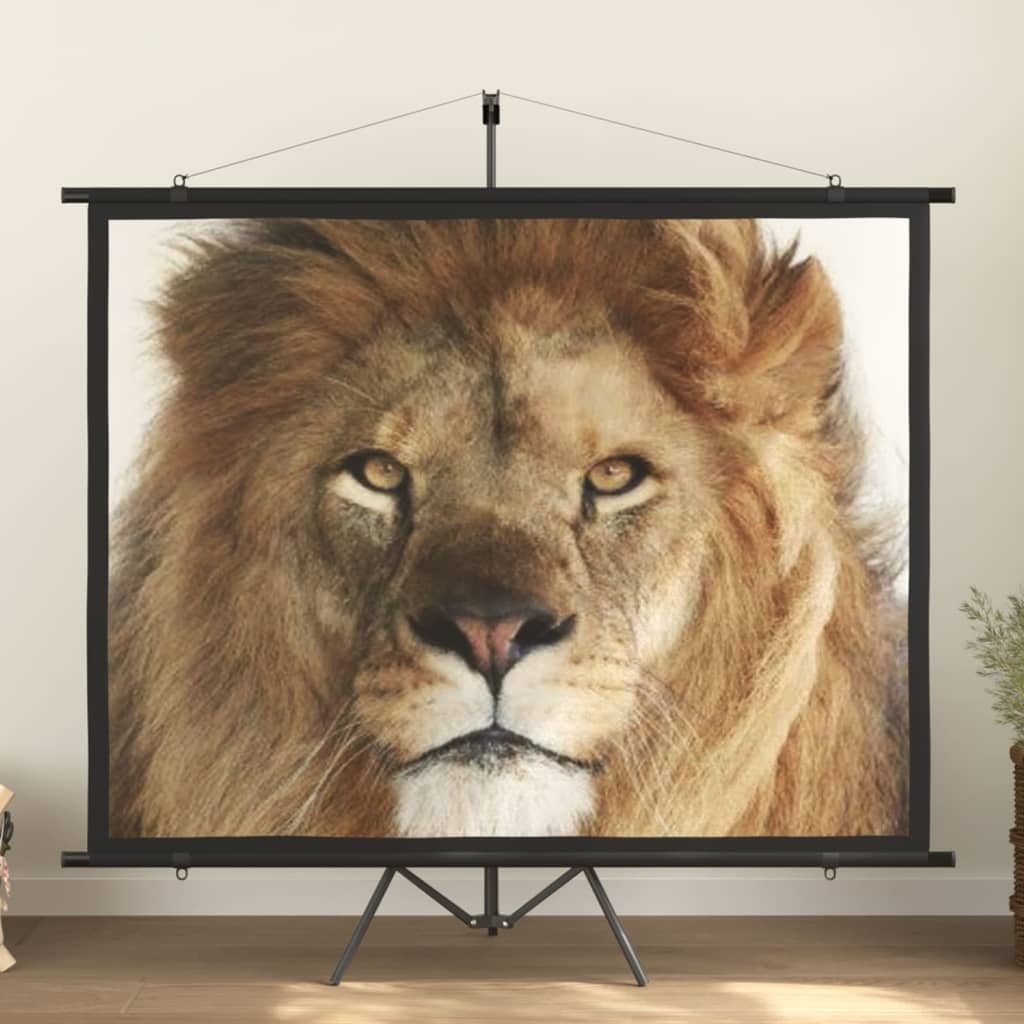 vidaXL projection screen Home Theater Screen Pull-down Projector Screen 4:3-16