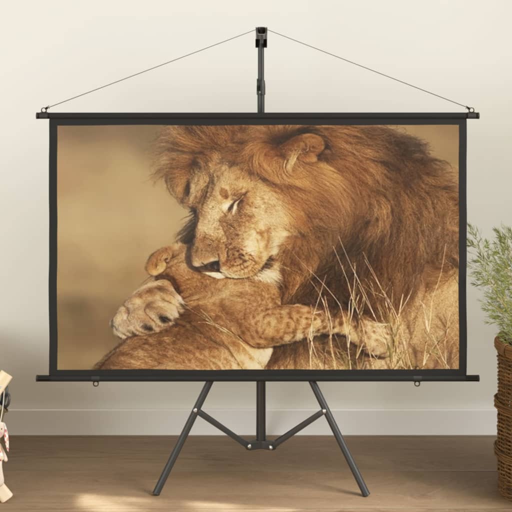 vidaXL projection screen Home Theater Screen Pull-down Projector Screen 4:3-8