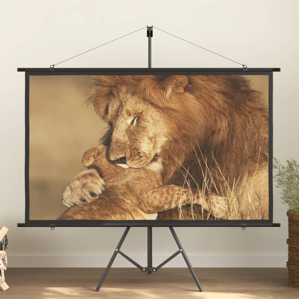 vidaXL projection screen Home Theater Screen Pull-down Projector Screen 4:3-9