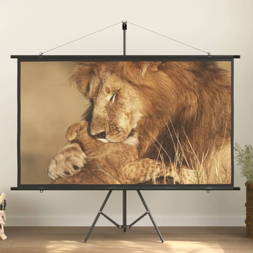 vidaXL projection screen Home Theater Screen Pull-down Projector Screen 4:3-11