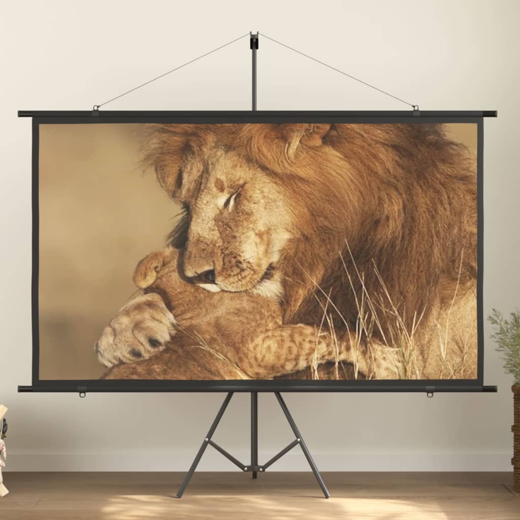 vidaXL projection screen Home Theater Screen Pull-down Projector Screen 4:3-13