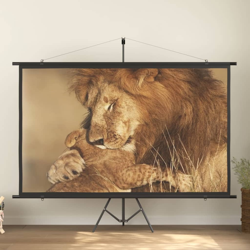 vidaXL projection screen Home Theater Screen Pull-down Projector Screen 4:3-13